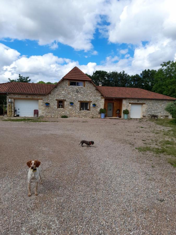 les chênes verts Isseptssionnel Extérieur photo